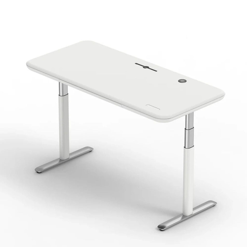 The Integrated Standing Desk: Elevate Your Flow, Optimize Your Space