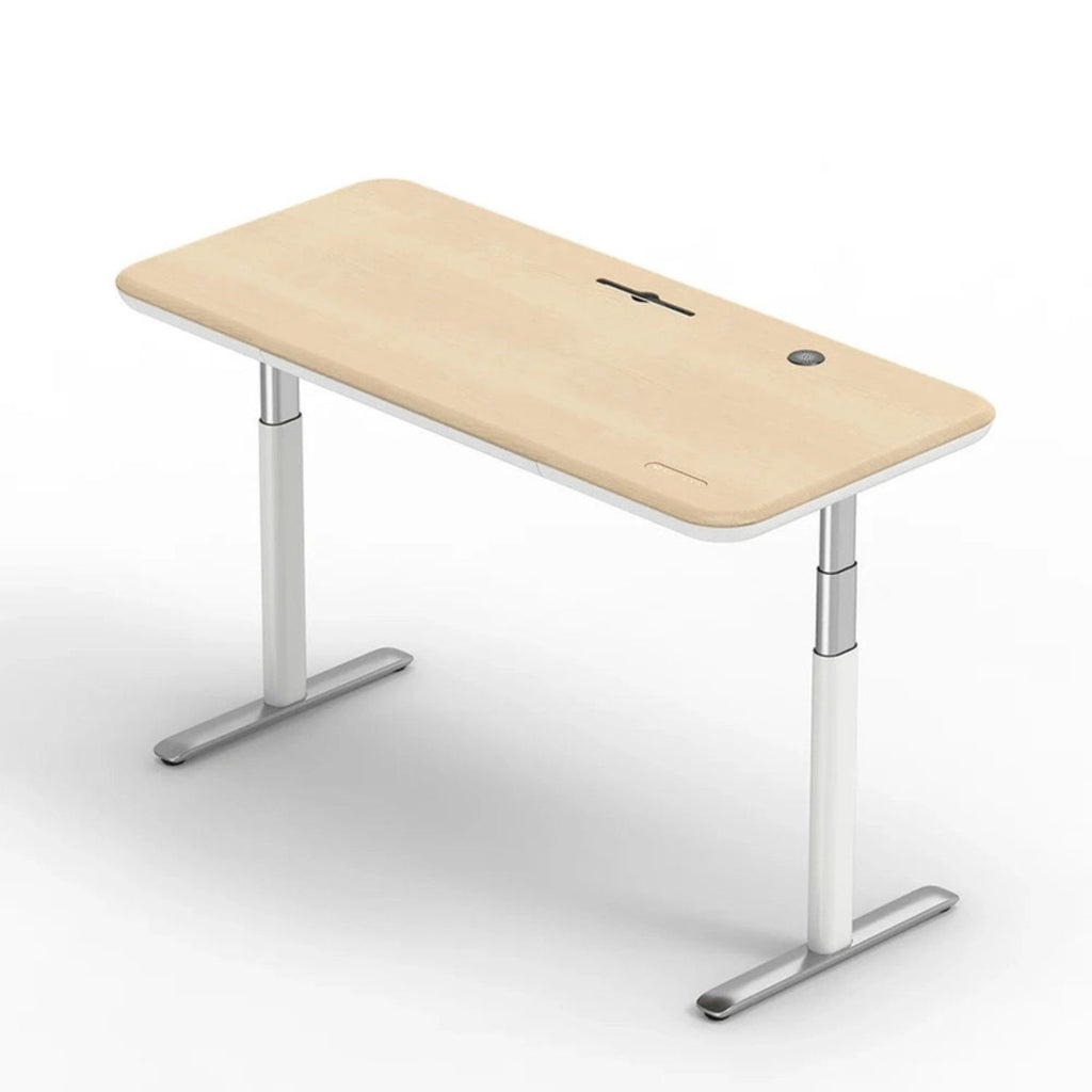 The Integrated Standing Desk: Elevate Your Flow, Optimize Your Space